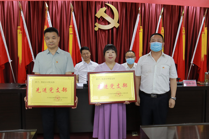 先进基层党组织_副本.jpg